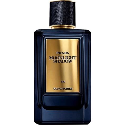 MOONLIGHT SHADOW perfume by Prada .